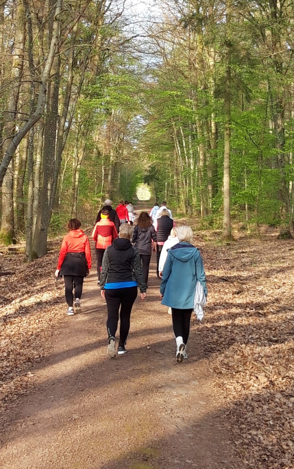 Walk & Talk plus beim Lauftreff TV Cochem